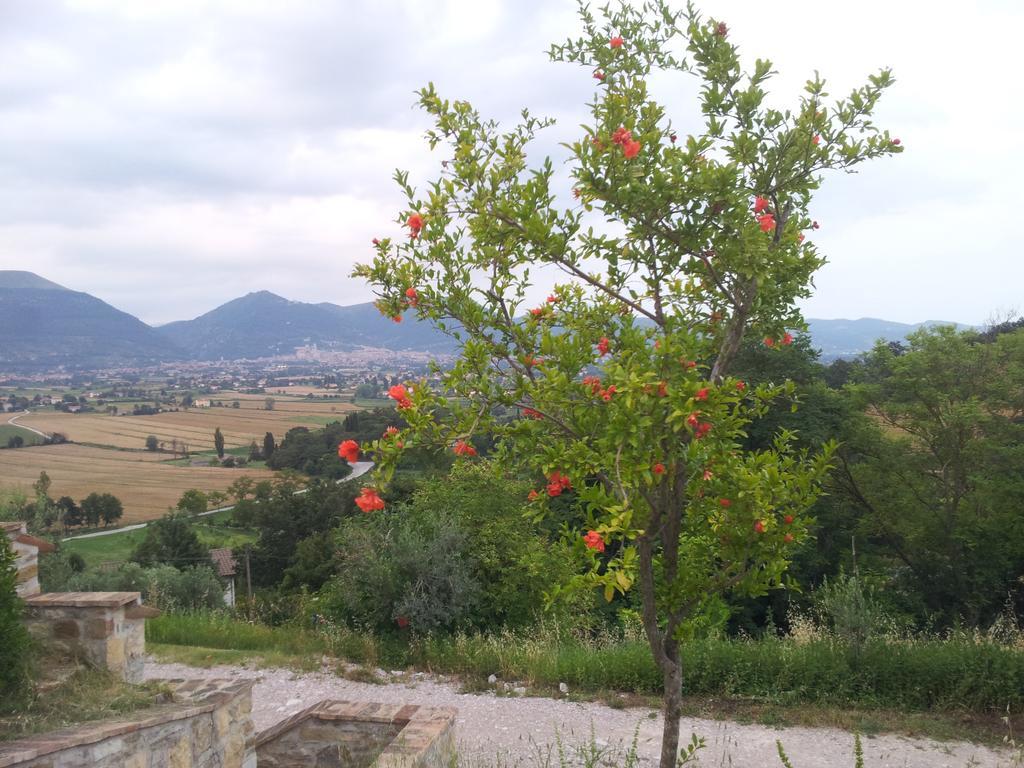 Villa Fonte Chiara Gubbio Habitación foto